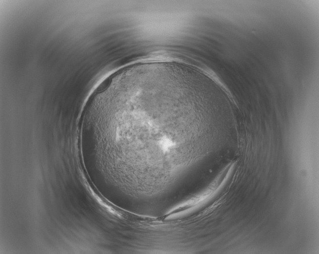 X0000058801484200510171333