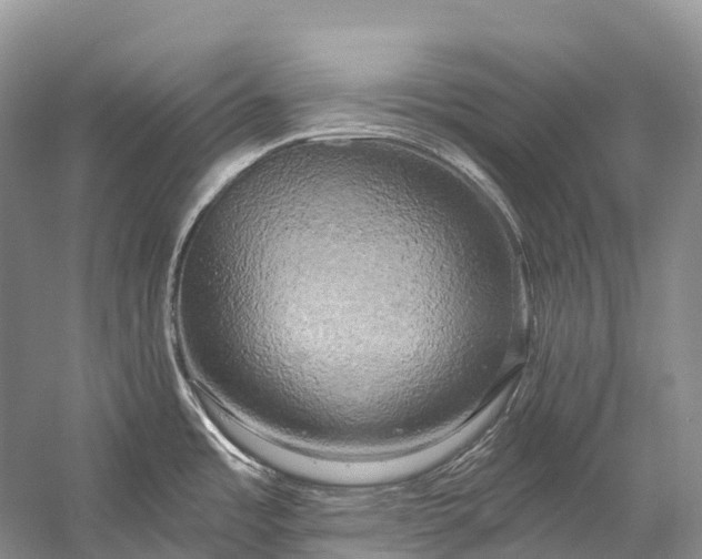 X0000058801485200510171333