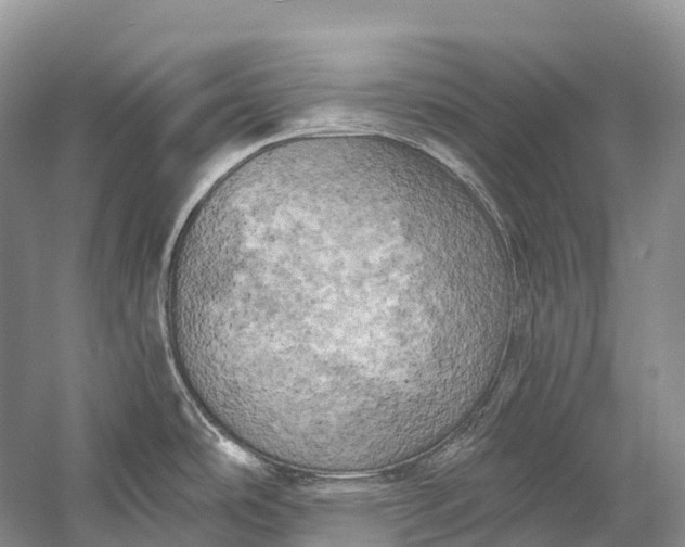 X0000058801486200510171333