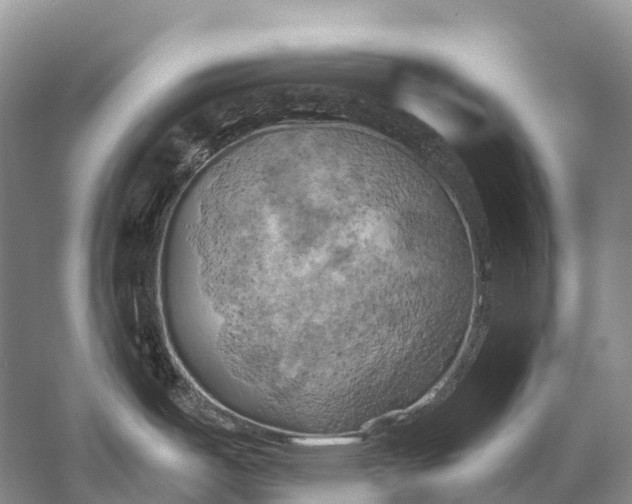 X0000058801487200510171333