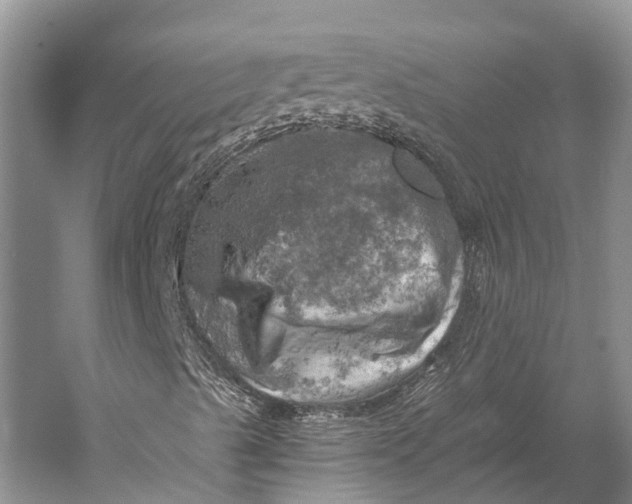 X0000058801489200510171332