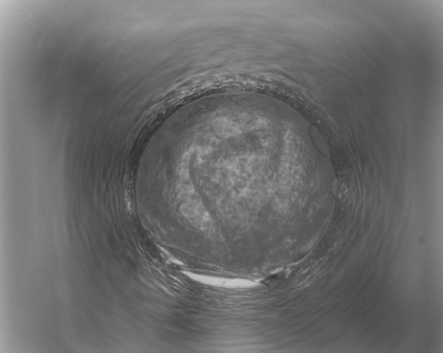 X0000058801490200510171333