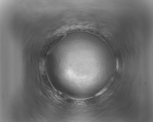 X0000058801492200510171333