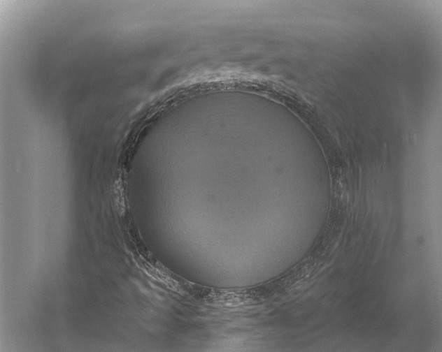 X0000058801493200510171333