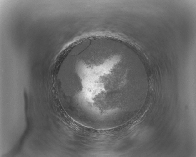 X0000058801494200510171333