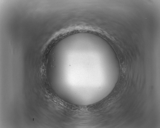 X0000058801495200510171333