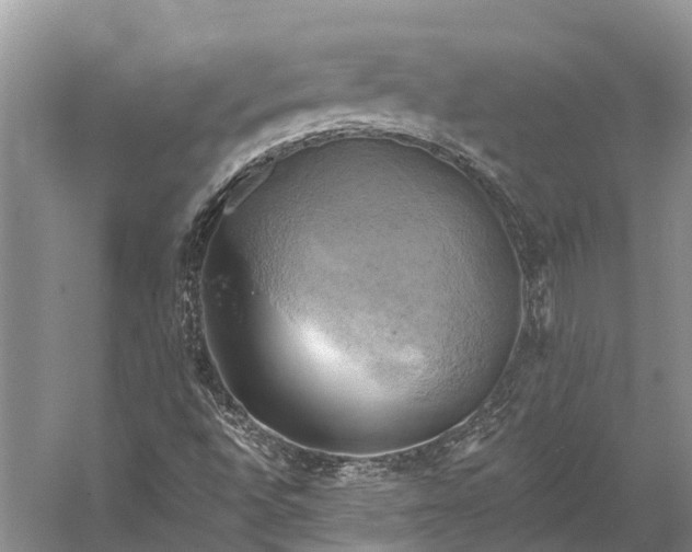 X0000058801496200510171333