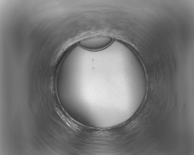 X0000058801499200510171333