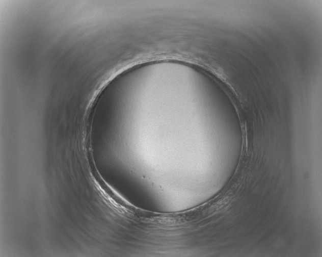 X0000058801500200510171333