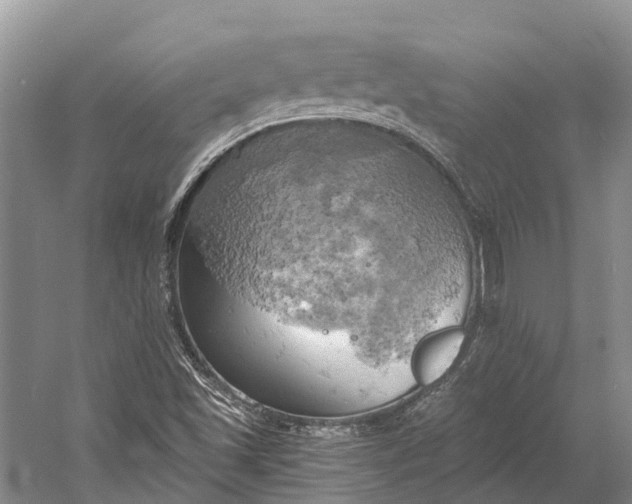 X0000058801501200510171333