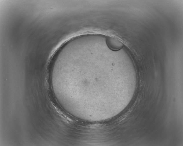 X0000058801502200510171333