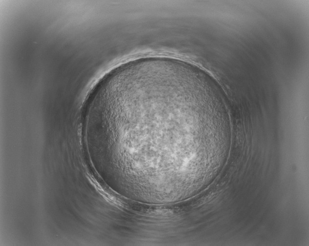 X0000058801503200510171333