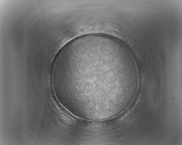 X0000058801505200510171333