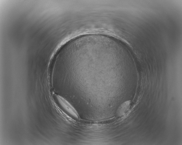 X0000058801506200510171333