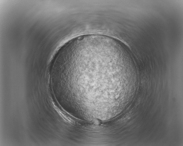 X0000058801507200510171333