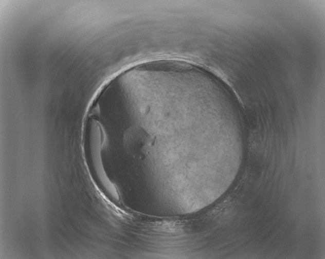 X0000058801508200510171333