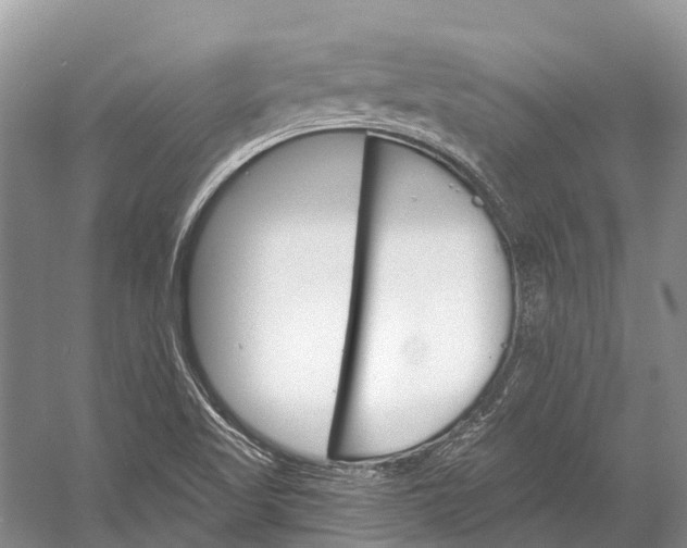 X0000058801509200510171333