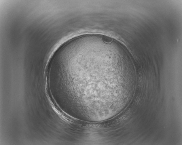 X0000058801511200510171333