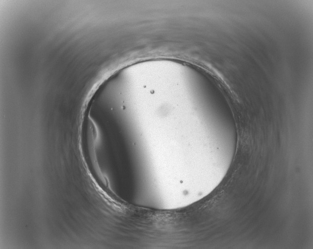 X0000058801512200510171333