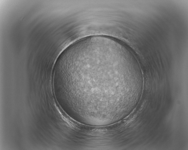 X0000058801513200510171333