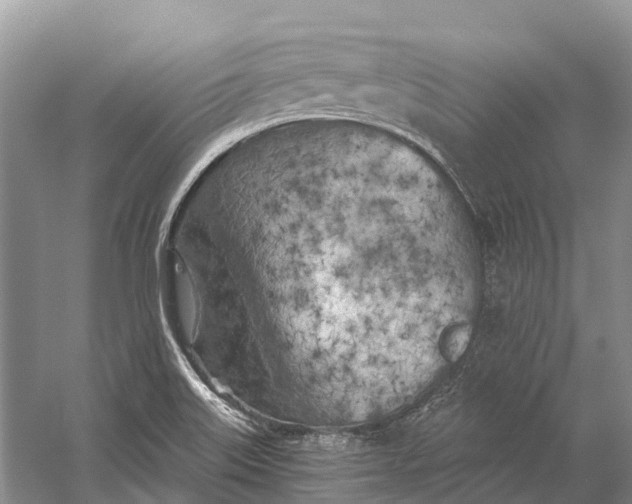 X0000058801515200510171333