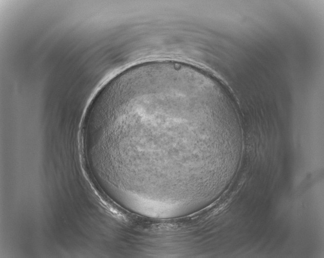 X0000058801517200510171333