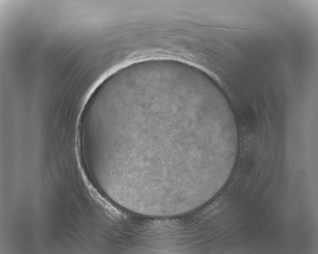 X0000058801518200510171333