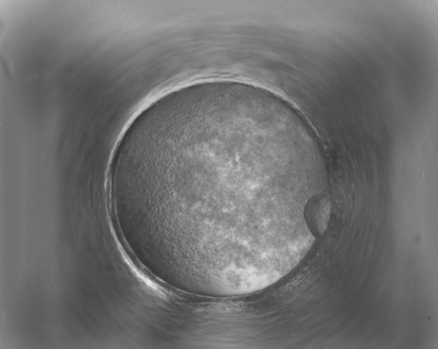 X0000058801519200510171333