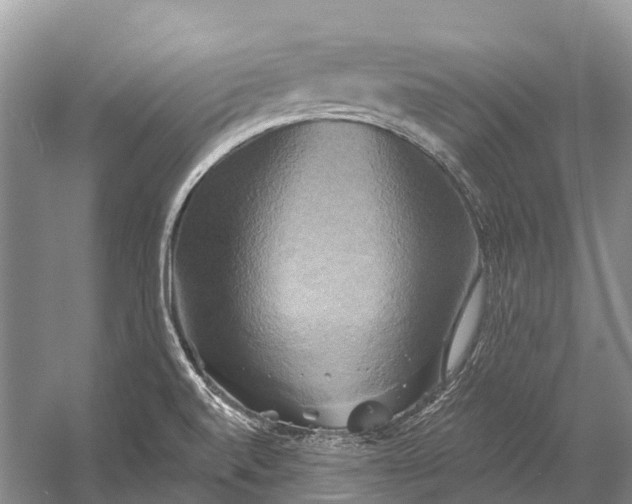 X0000058801520200510171333