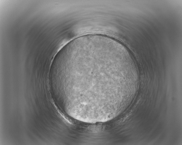 X0000058801521200510171333