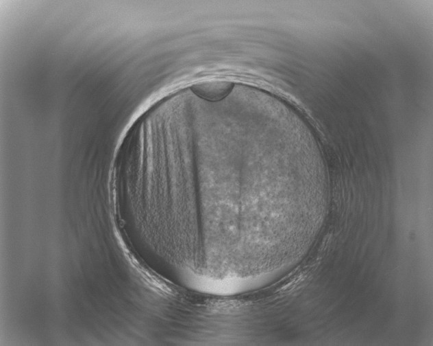 X0000058801522200510171333