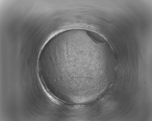 X0000058801523200510171333