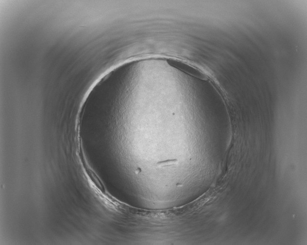 X0000058801524200510171333