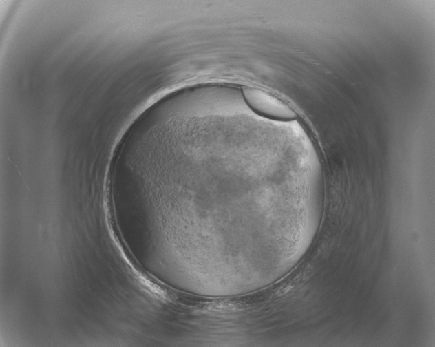 X0000058801525200510171333