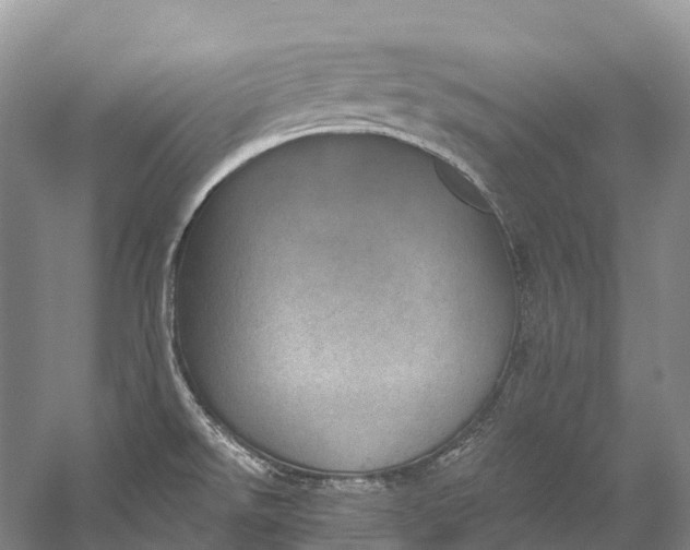 X0000058801526200510171333