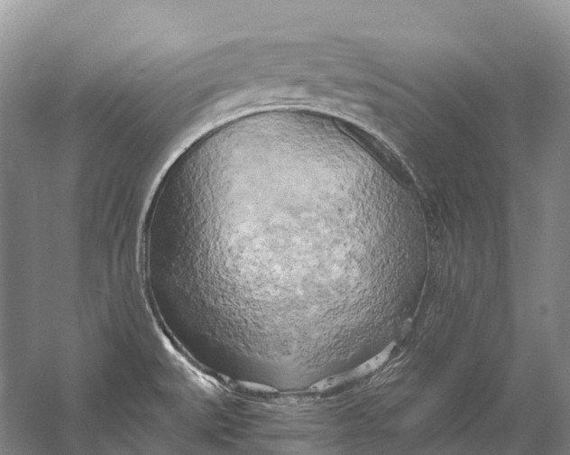 X0000058801527200510171333