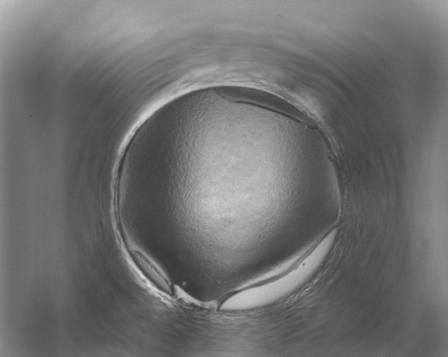 X0000058801528200510171333