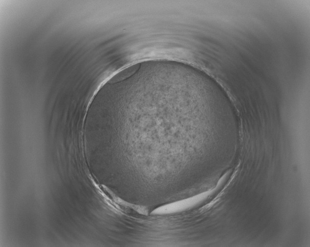 X0000058801529200510171333