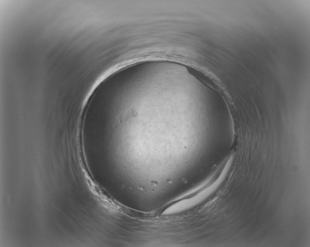 X0000058801530200510171333