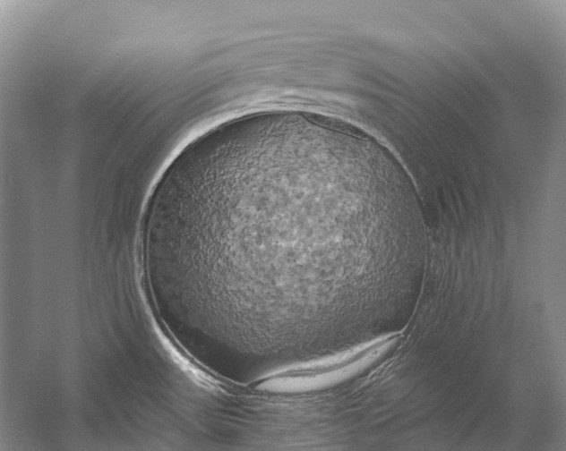 X0000058801531200510171333