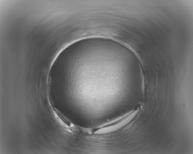 X0000058801532200510171333