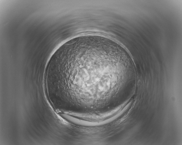 X0000058801533200510171333