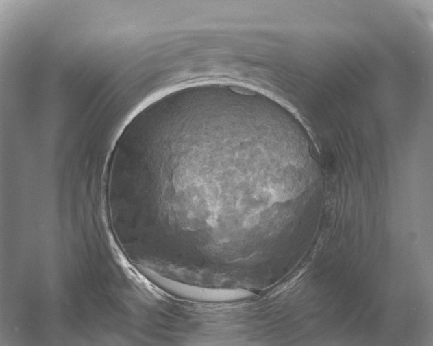 X0000058801534200510171333