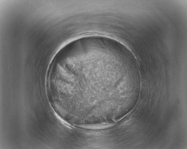 X0000058801535200510171333