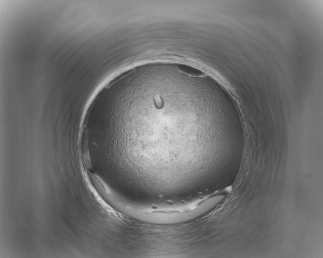 X0000058801536200510171333