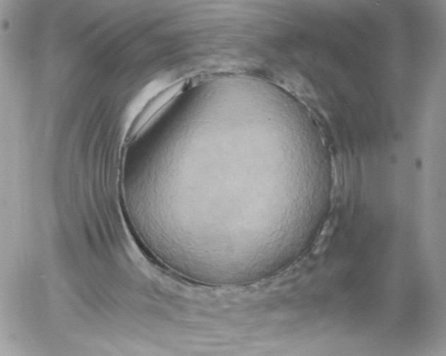 X0000058800003200510211851