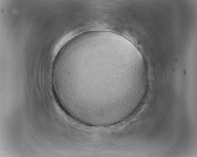 X0000058800007200510211850