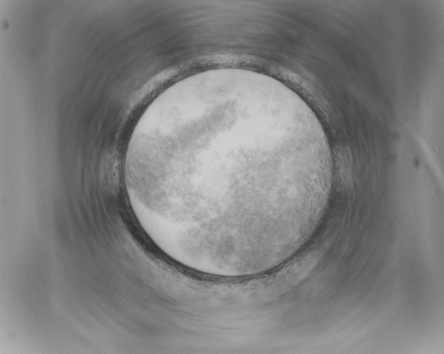 X0000058800016200510211850