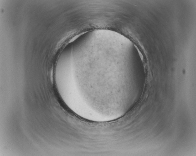 X0000058800019200510211850