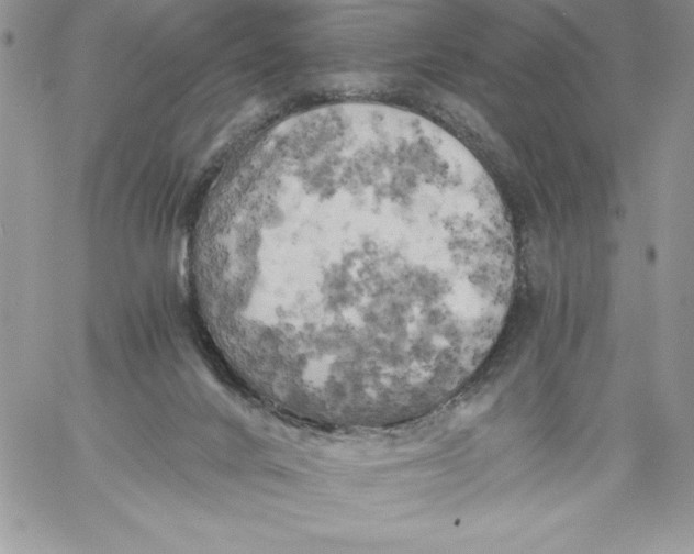 X0000058800024200510211850